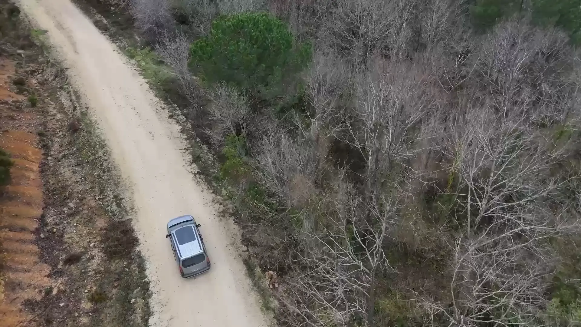 Vista aérea de un auto en un camino entre árboles